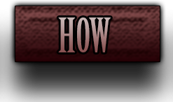 How We Work
